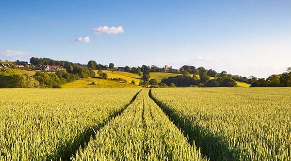 Agricultural Transition Fund set to Open  Reading Agricultural Consultants